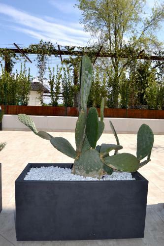 Apartamento Aura Ar Holiday-home