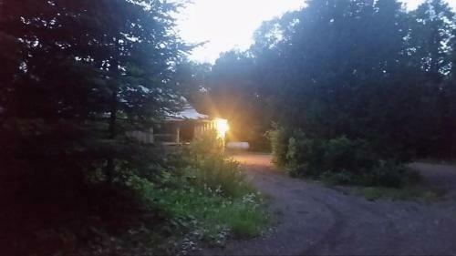 Woodland Retreat