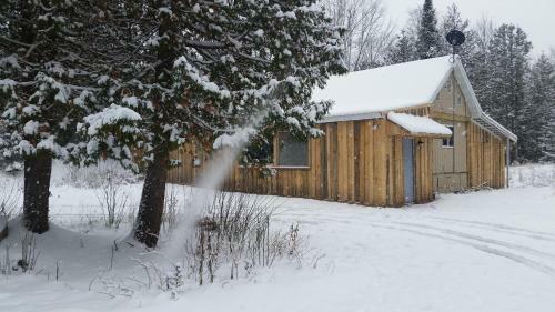 Woodland Retreat