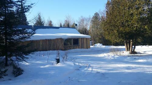 Woodland Retreat