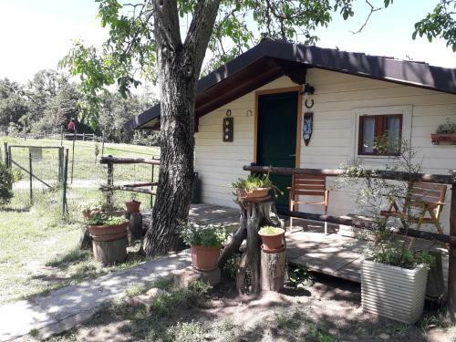 Bed & Breakfast Il Casalino