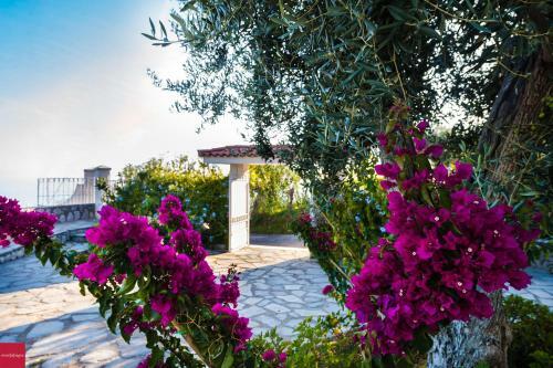 Apartamento Il Nibbio