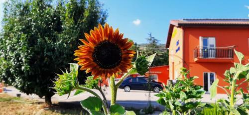 Agroturismo Sotto Li Foj