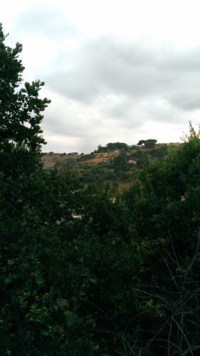 Apartamento Appartamento Marianna