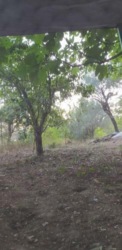 Apartamento Appartamento Marianna