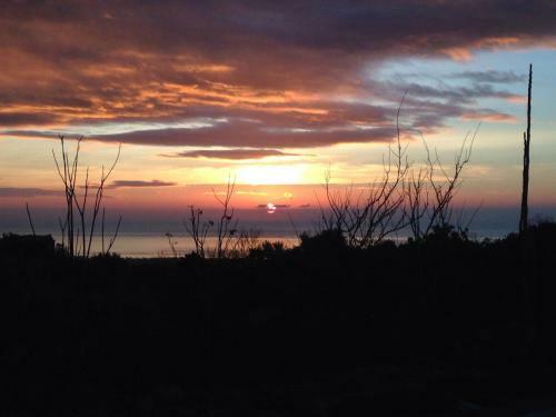 Bed And Breakfast Il Glicine