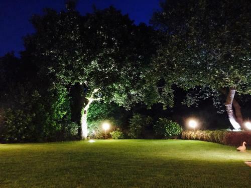 Bed And Breakfast Il Glicine