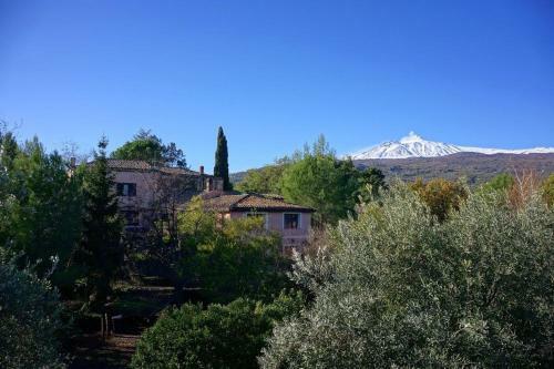 Bed And Breakfast Il Glicine