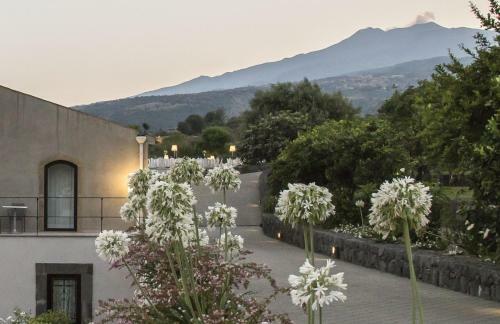 Hotel Tal� Restaurant & Suite