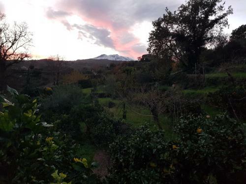 Design Villa In Piedimonte Etneo