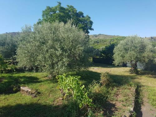 Barondi Holiday House
