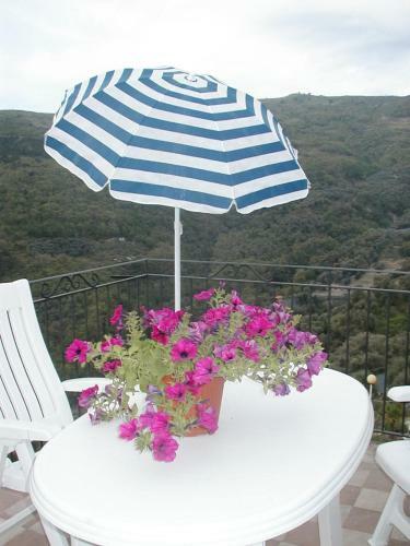 Agriturismo Casa Santina