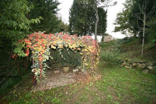 Villa Anileve's Country House