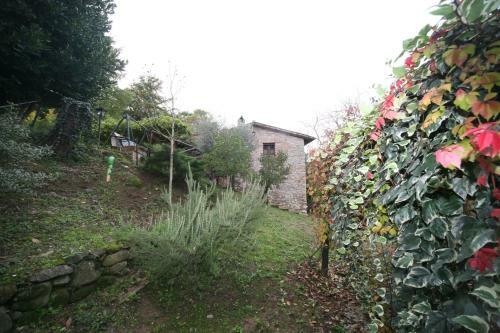 Villa Anileve's Country House