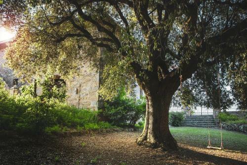 Agroturismo Cosona