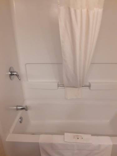 Hotel Quality Inn & Suites