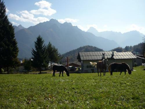 Apartamento Orizzonti Montani