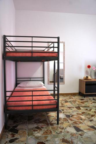 Apartamento Viale Repubblica 329 1
