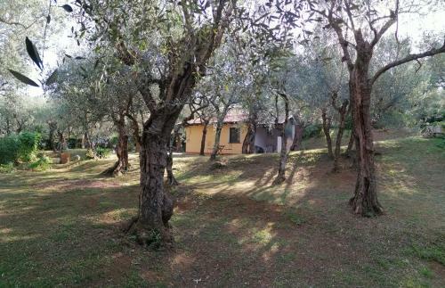 Apartamento Casina Versilia