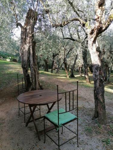 Apartamento Casina Versilia