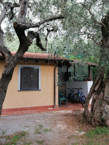 Apartamento Casina Versilia