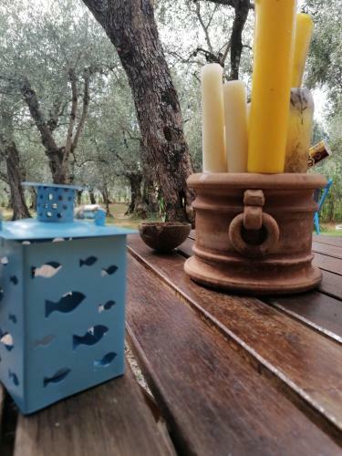Apartamento Casina Versilia