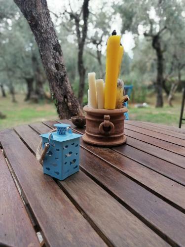 Apartamento Casina Versilia