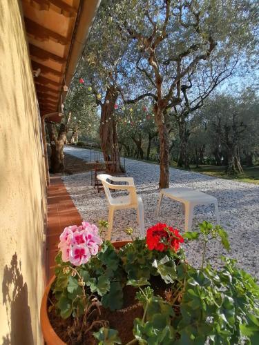 Apartamento Casina Versilia