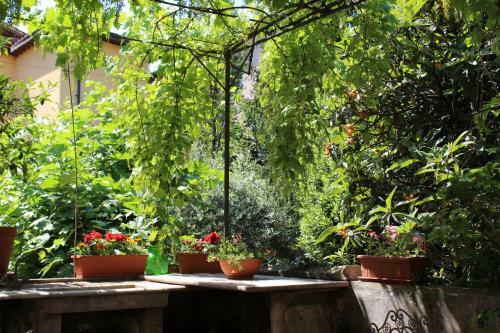 Apartamento La Terrazza In Centro
