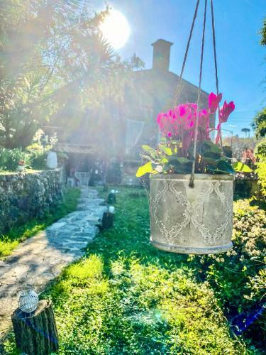 B&B Antico Frantoio Pietrasanta