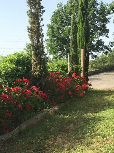 Valvisio - Casa Di Campagna