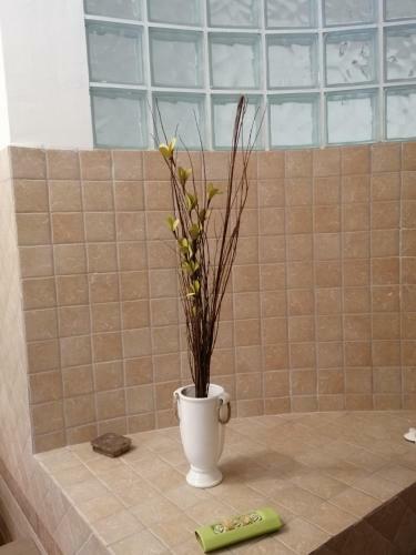 Apartamento La Piazzetta