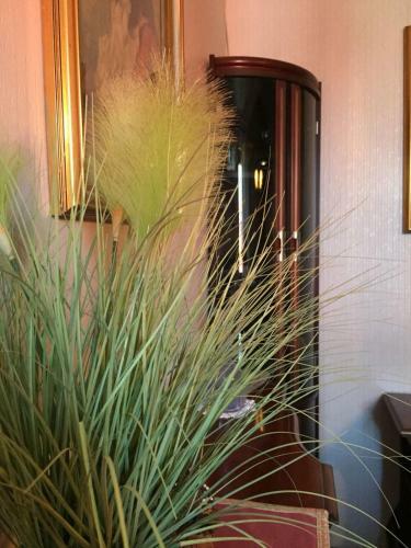 Apartamento Casa Giuliano