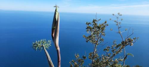 Apartamento Appartamento Mare E Monti Two