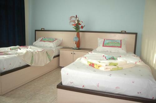 Hotel Aleksiona