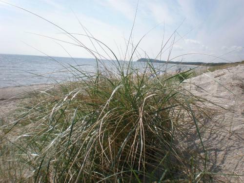 Apartamento Ostsee-ferienwohnung-sellin
