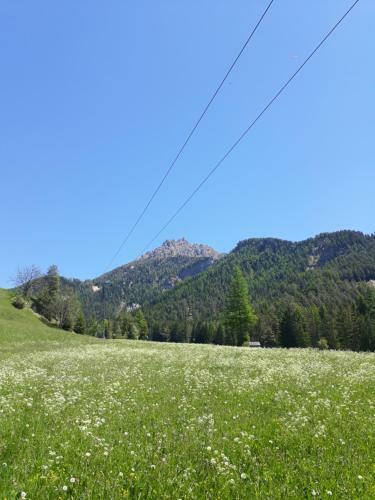 Hotel Garni B&B Chi Vai