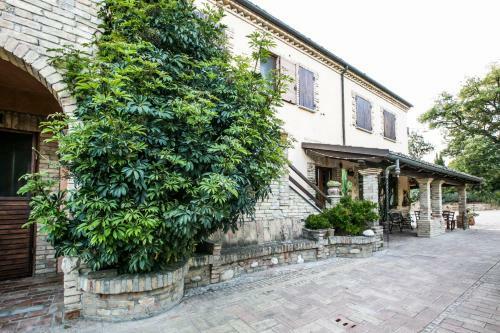 Bed & Breakfast Agriturismo Col Morino