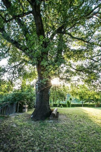 Bed & Breakfast Agriturismo Col Morino