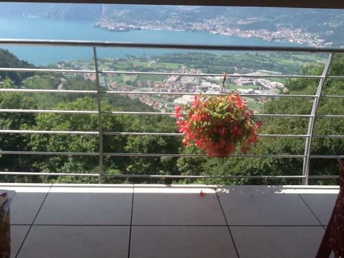 Bed & Breakfast Alveare Sul Lago