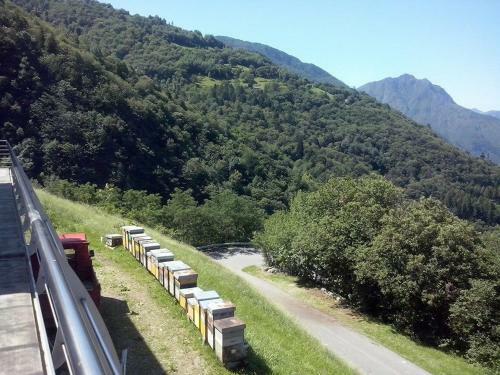 Bed & Breakfast Alveare Sul Lago