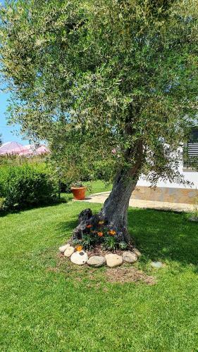 Villa Leone