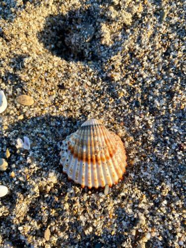 Apartamento Casetta Pisticci