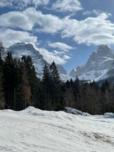 Apartamento Dolomiti House