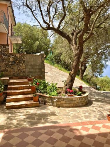 Apartamento Terrazza Sul Mare Pisciotta - Palinuro