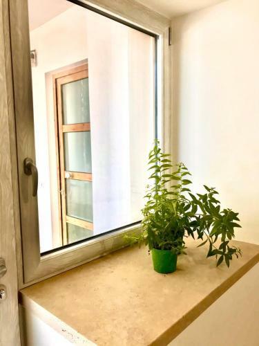 Apartamento Terrazza Sul Mare Pisciotta - Palinuro