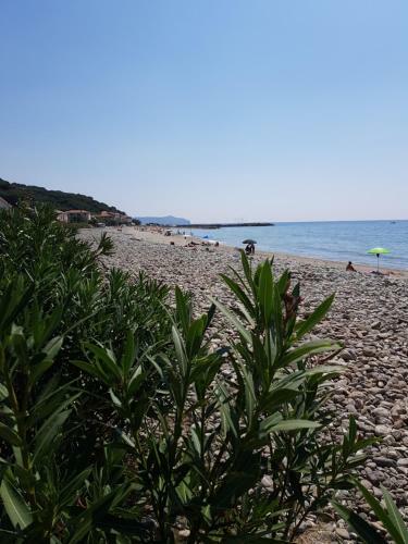 Apartamento Petra Marina Hydra