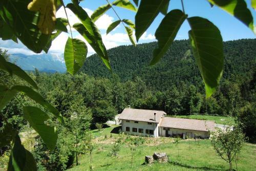 Bed & Breakfast Bosco Delle Rune ..un Angolo Di Paradiso