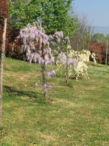 Apartamento Podere Casanova