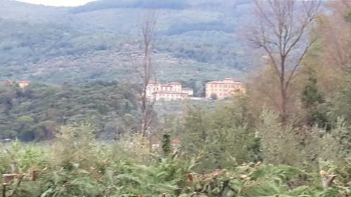 Agroturismo Oasi Verde A Casa Di Vale